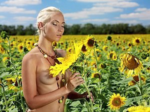 Sunflower field beauty showing her small boobs and peachy pussy