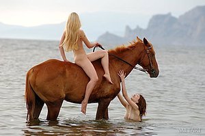 Two naked chicks take turns riding a horse and that's pretty much it