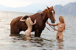 Two naked chicks take turns riding a horse and that's pretty much it