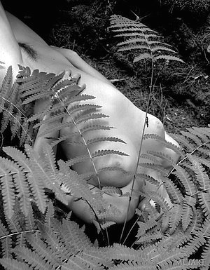 Petite babe showing her sexy ass in a hot B&W erotic gallery